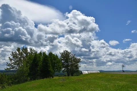Clouds in a summer sky Stock Photos