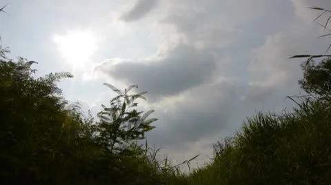 Clouds Sun Grassy Foreground Time Lapse 02 Stock Footage 8966266