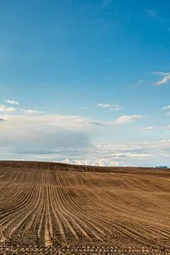 Clouds on a sunny summer day over agricultural fields. A beautiful hilly fiel Stock Photos