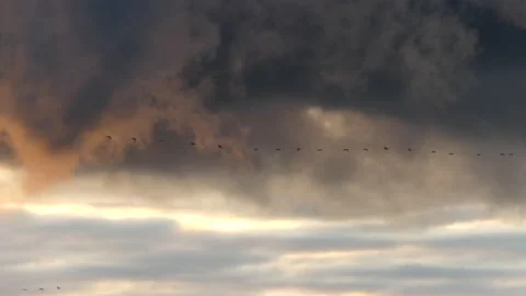 Clouds at sunrise with dark smoke - sky in Real Time - Cloudscape with birds Stock Footage 143230868