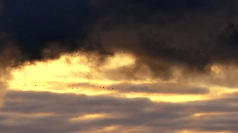 Clouds at sunrise with dark smoke - sky in Real Time - Cloudscape with birds Stock Footage 143232791