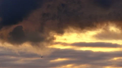 Clouds at sunrise with dark smoke - sky in Real Time - Cloudscape with birds Stock Footage 143232820