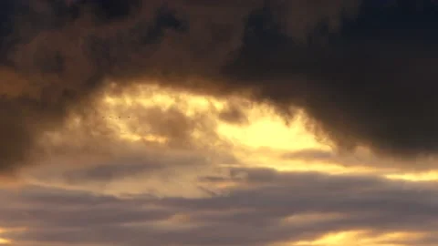 Clouds at sunrise with dark smoke - sky in Real Time - Cloudscape with birds Stock Footage 143234635