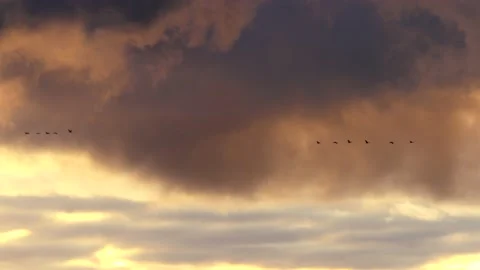 Clouds at sunrise with dark smoke - sky in Real Time - Cloudscape with birds Stock Footage 143238469