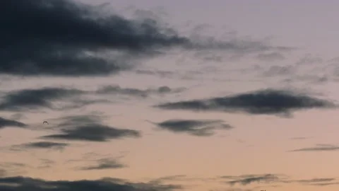 Clouds at sunrise with flying birds - sky background - real time Stock Footage 143261908