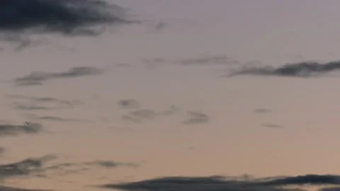 Clouds at sunrise with flying seagulls - sky background - real time Stock Footage 143258247