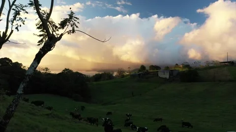 Clouds at Sunset Video stock 270190195