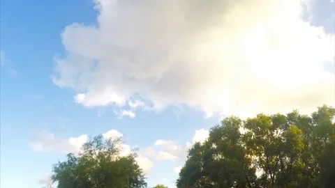 Clouds at sunset over trees in park timelapse 스톡 동영상 78020355