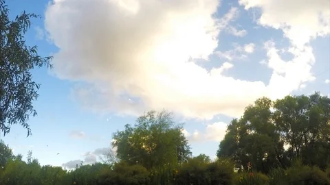 Clouds at sunset over trees timelapse Stock Footage 78020488