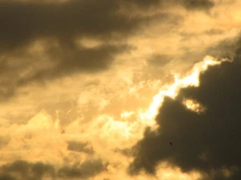 Clouds at sunset in the sky as a background, texture. Stock Photos
