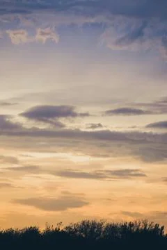 Clouds on sunset sky over trees line Foto stock