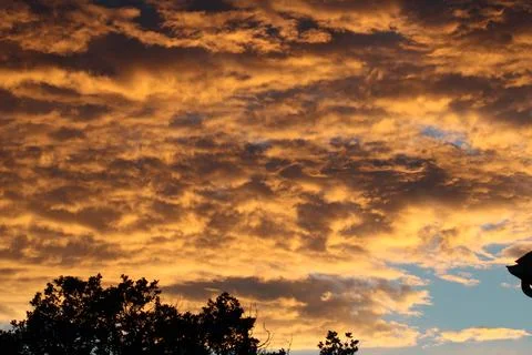 Clouds Sunset with trees Stock Photos