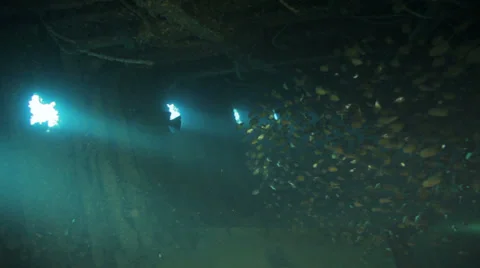 Clouds of sweepers fish inside the ship wreck Видео 22732592