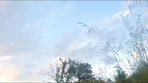 Clouds swim over the park in evening timelapse 스톡 동영상 78018692