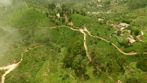 From Clouds to A Tea Plantation 스톡 동영상 122845573