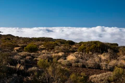 Clouds in the teide Foto stock
