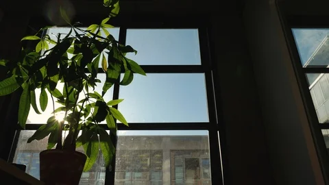 Clouds through Office Window Time Lapse 库存影片 113875991