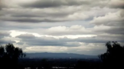 Clouds through Trees 動画素材 2770175