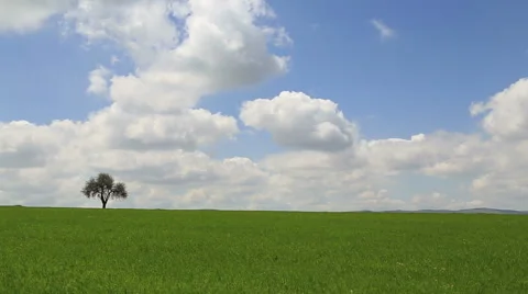 Clouds time lapse and tree in the corner Video stock 49851799