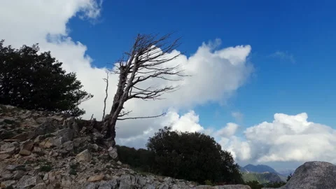 Clouds Time lapse in the blue sky Stock Footage 219357867