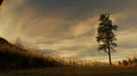 Clouds Time Lapse Stock Footage