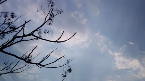 Clouds time lapse Stock Footage 48686636