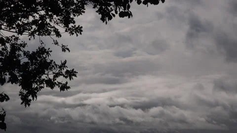 Clouds time lapse moving in blue sky and tree 4K Stock Footage 143072000