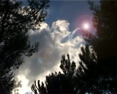 Clouds time-lapse with tree branch foreground Stock Footage 20508816