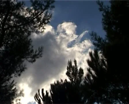 Clouds time-lapse with tree branch foreground Stock Footage 20508823