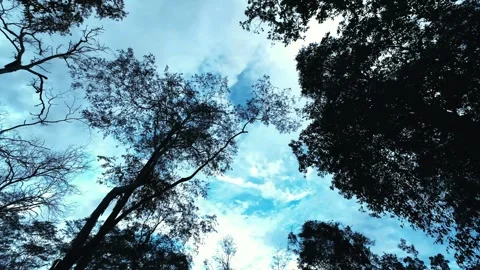 Clouds Timelaps 4K Stock Footage 332353279