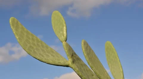 Clouds Timelapse 03 Stock Footage