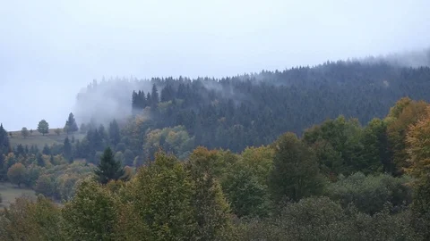 Clouds timelapse above forest Stock Footage 82013752