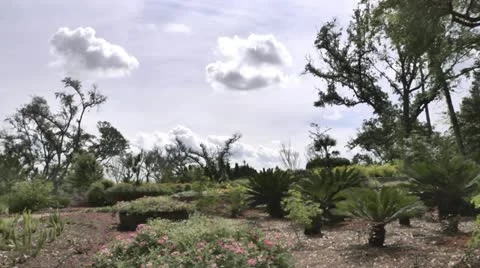 Clouds Timelapse Stock Footage 11886457