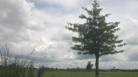 Clouds Timelapse Video stock 24868095