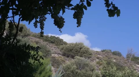 Clouds Timelapse Video stock 42770549