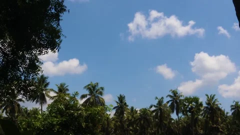 Clouds Timelapse 動画素材 157307337