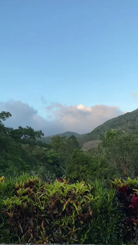 Clouds timelapse Stock Footage 320130262