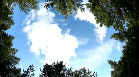 Clouds timelapse shot. top view with fisheye lens Stock Footage 10894549