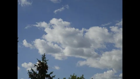 Clouds Timelapse, Sky, Tree Stock Footage 97875148