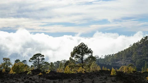 Clouds on top of a volcano Stock-Footage 233369078