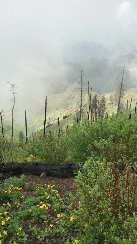 Clouds touching the mountain top rolling over the landscape Stock Footage 242652885