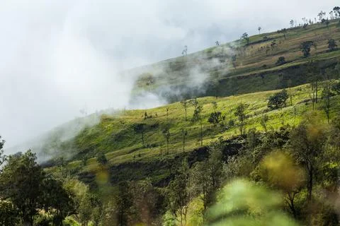 Clouds touching the mountains. Trek to Mount Rinjani, Lombok, Indonesia Stock Photos