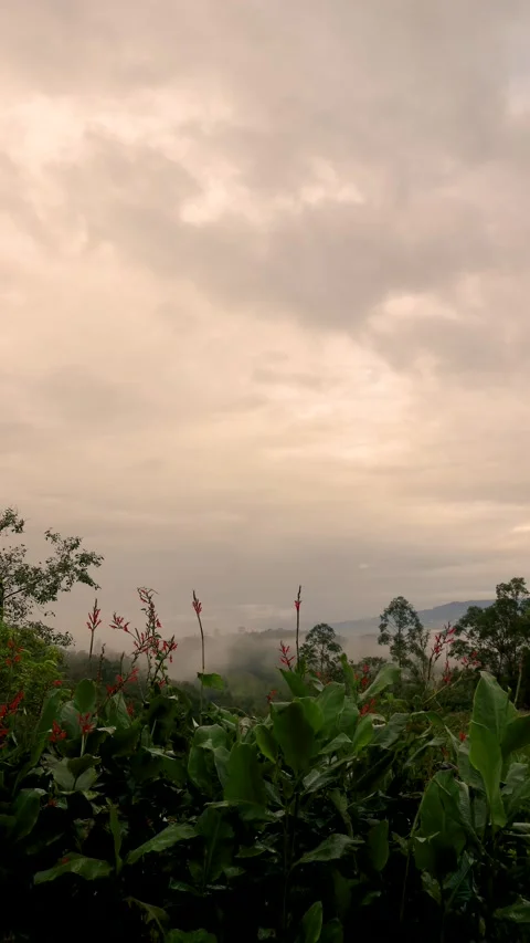 Clouds in transit to the west over the farms and forest covered with a soft f Stock Footage 337168441