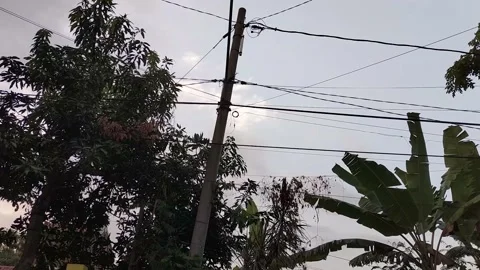 CLOUDS, TREE AND WIND 動画素材 212936938