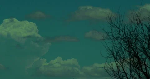 Clouds with Tree Stock Footage 292833549