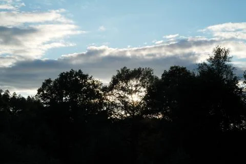 Clouds with tree Stock Photos