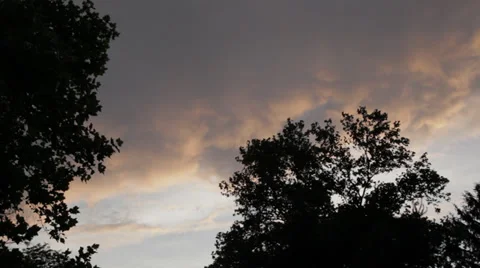 Clouds Trees and Sky at Dusk in New Jersey HD Video Stock Footage 28924879