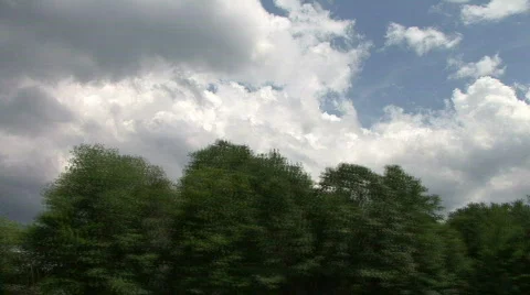 Clouds &amp; Trees Stock-Footage 308646