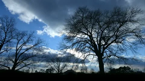 Clouds trees tl 1 Stock Footage 21425900