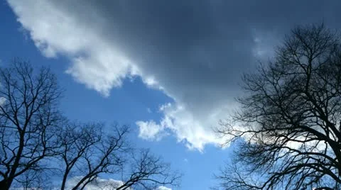 Clouds trees tl 2 Stock Footage 21425859
